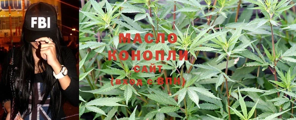 индика Абинск