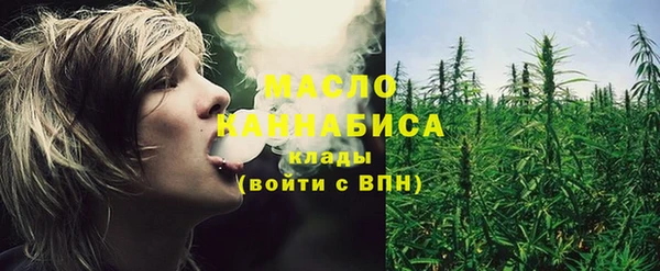 индика Абинск