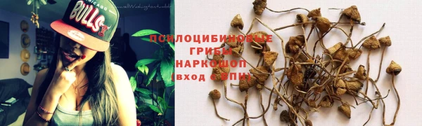 2c-b Алексин