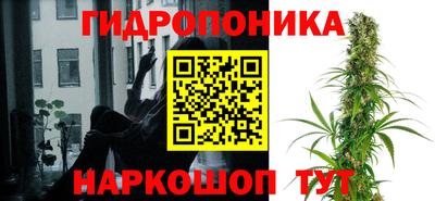 прущие крисы Донской