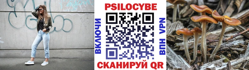 закладка  Юрга  Псилоцибиновые грибы GOLDEN TEACHER 